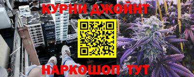 прущие грибы Шахты