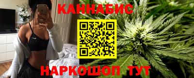 прущие грибы Шахты