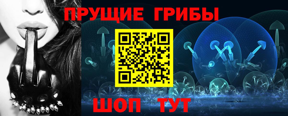 Псилоцибиновые грибы мицелий Асино