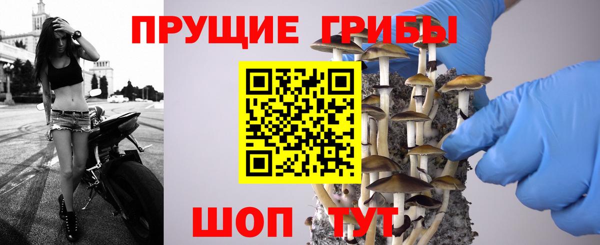 Галлюциногенные грибы Psilocybe  Вход с VPN  Асино 