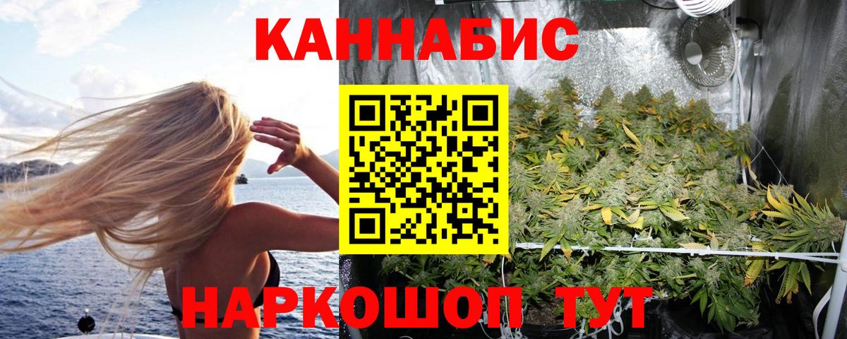 Каннабис семена Асино